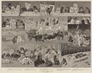 Weihnachtsfeier der Kätzchen